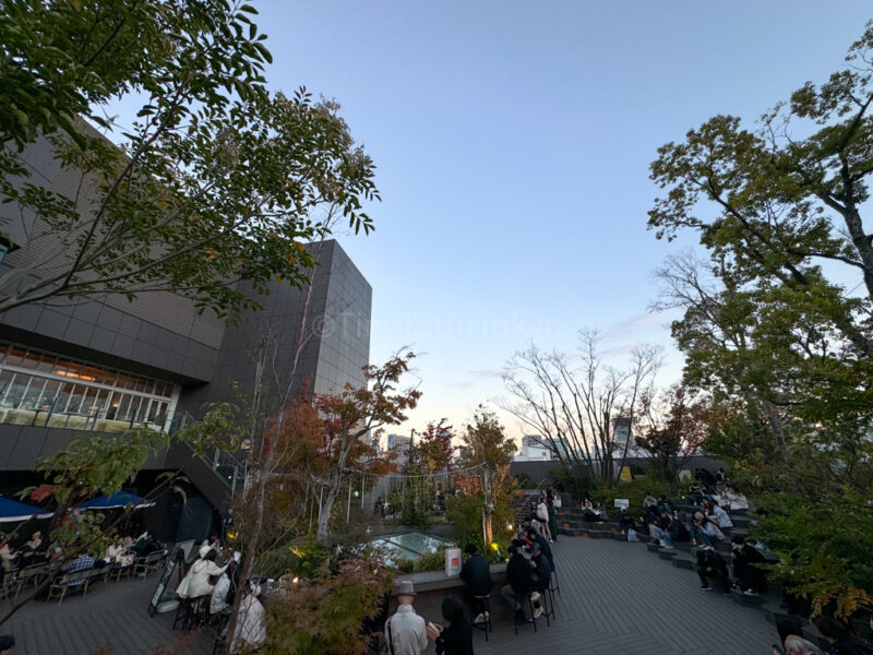 Starbucks at Tokyu Plaza