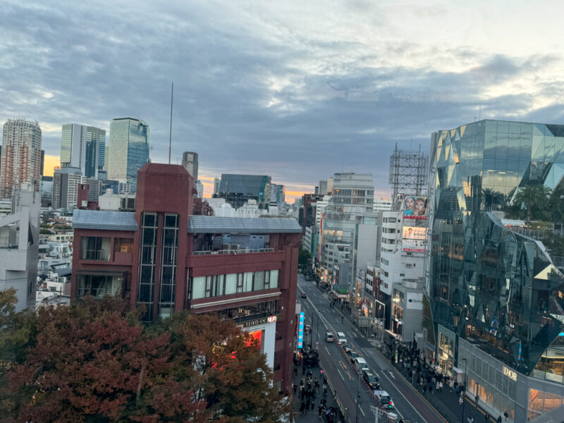 Views from Tokyu Plaza in Harajuku