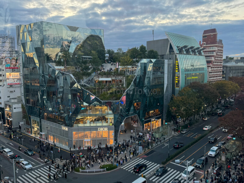 View of Harajuku from Tokyu Plaza