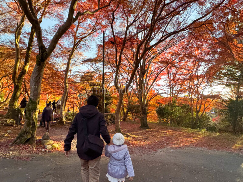 a parent and child in december in japan