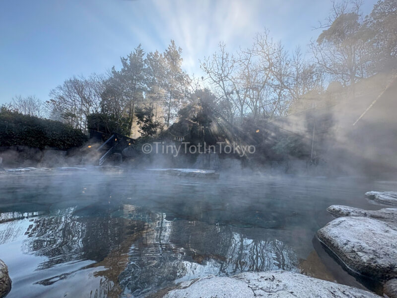 Yama no Hotel Musouen private bath