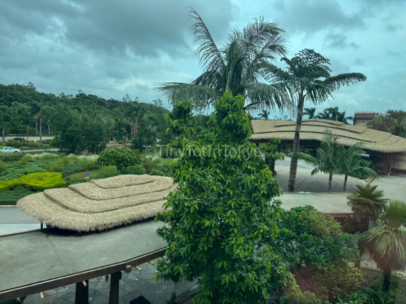 view from the room at the Hong Kong Disneyland Explorers Lodge 