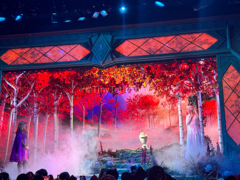 Playhouse in the wood at Hong Kong Disneyland