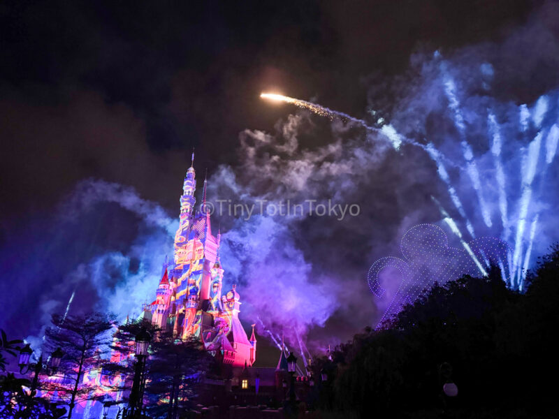 Momentous from the side at Hong Kong Disneyland