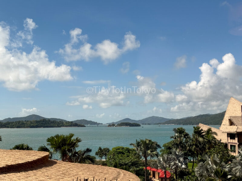 view of south china sea from Hong Kong Disneyland Explorers Lodge 
