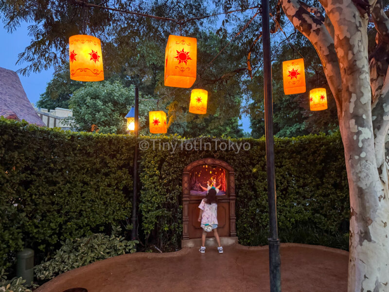 Rapunzel's Lanterns at Fairy Tale Forest at night at Hong Kong Disneyland