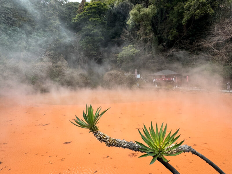 Chinoike Jigoku onsen in Beppu