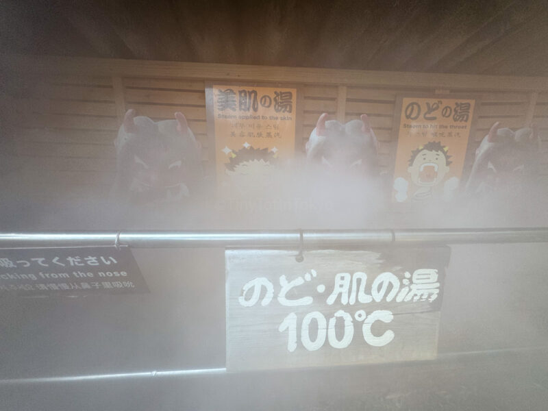 steam bath for throat at kamado jigoku in beppu