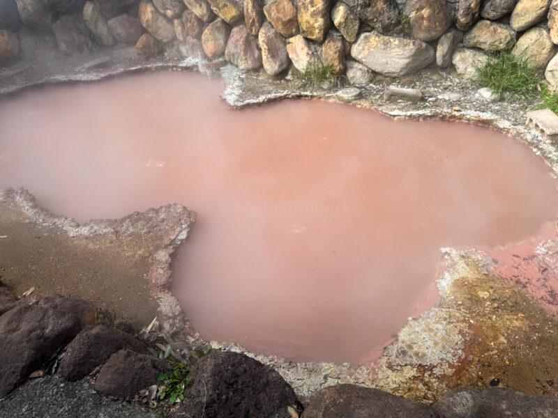 red mud onsen at Kamado Jigoku in beppu