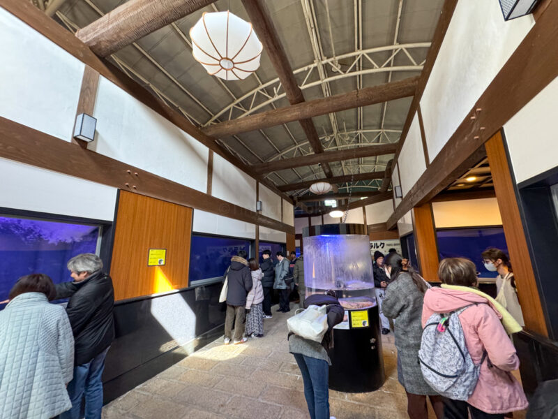 fish tanks at Shiraike Jigoku in Beppu