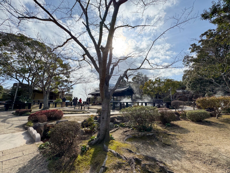 garden at Oniishi Bozu Jigoku Onsen at Hells of Beppu