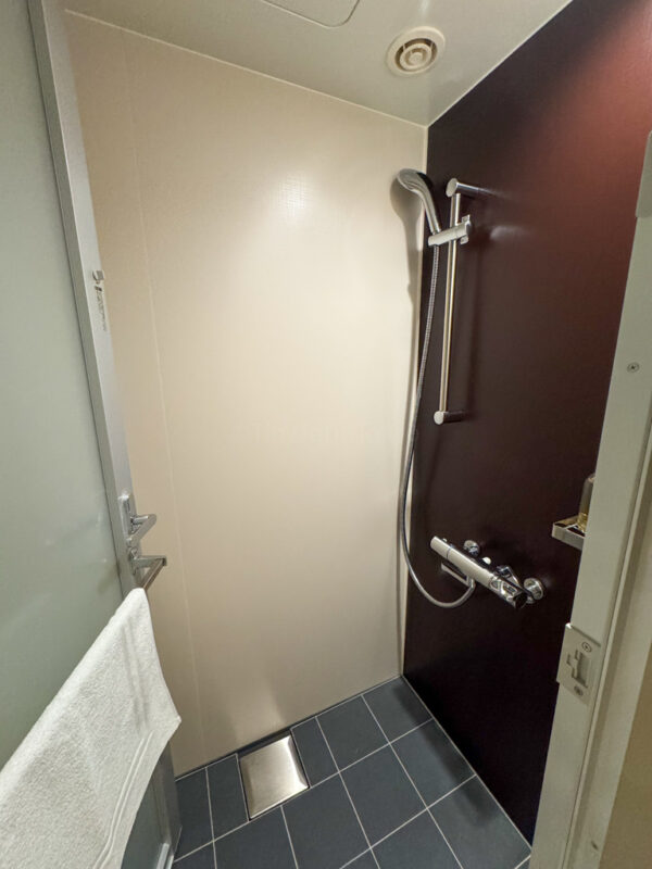 shower at hoshi kan standard room at suginoi hotel beppu