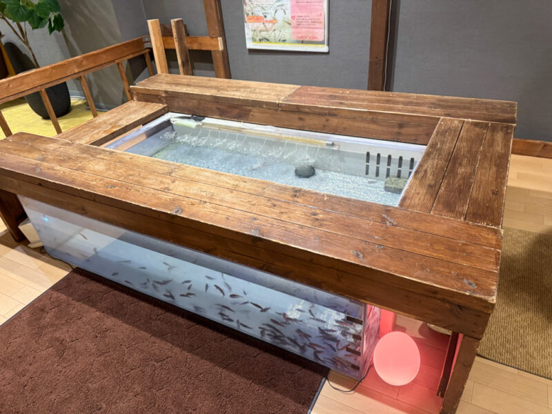 doctor fish at suginoi hotel in beppu