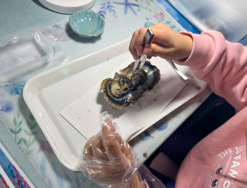 a child opening an oyster at umitamago aquarium in Beppu