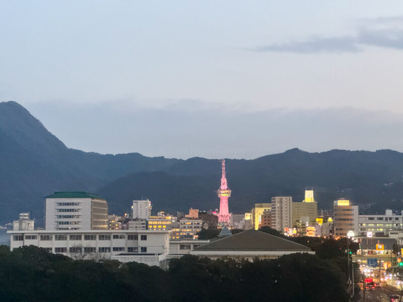 Beppu Tower from Rex Hotel window