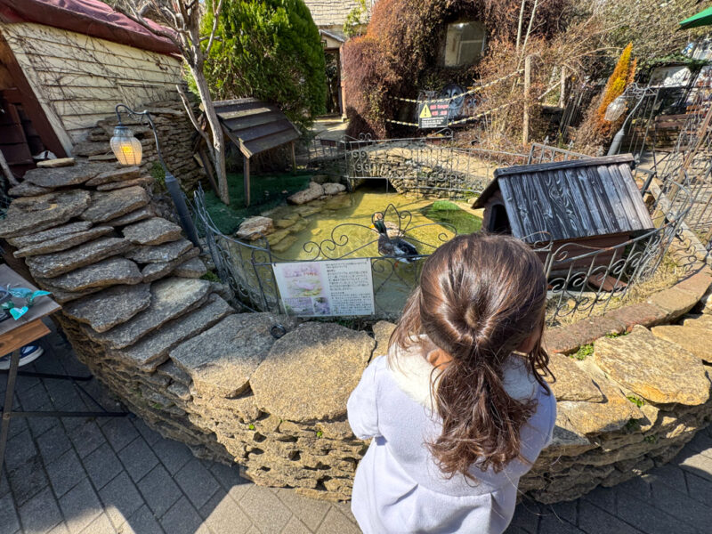 a child looking at ducks at yufuin floral village