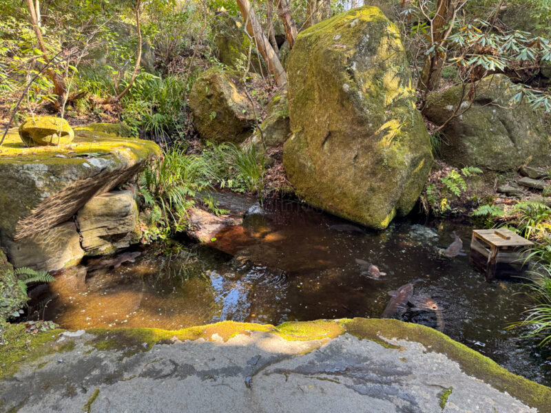stream at Unaigihime shrine in Yufuin