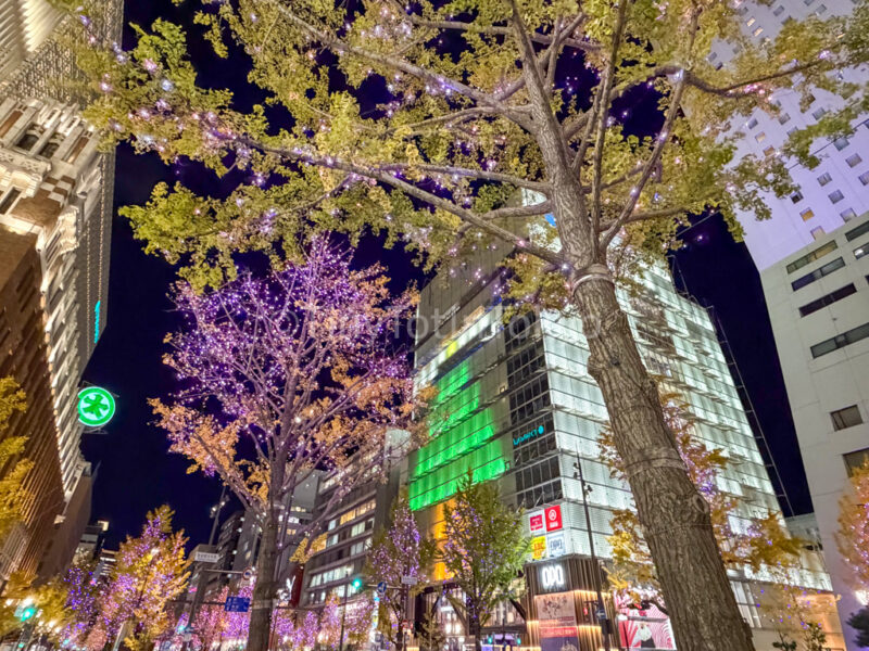 tree light up along shinsaibashi osaka