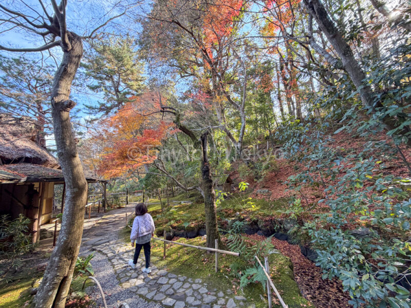 a child inside Yoshikien Garden in Nara