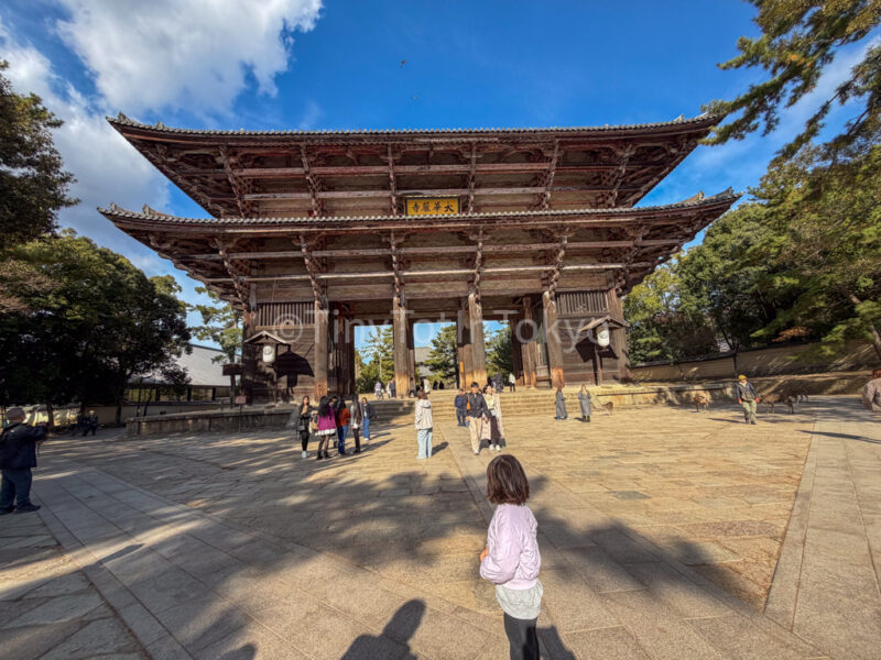 a child at the entrance of todaiji in nara