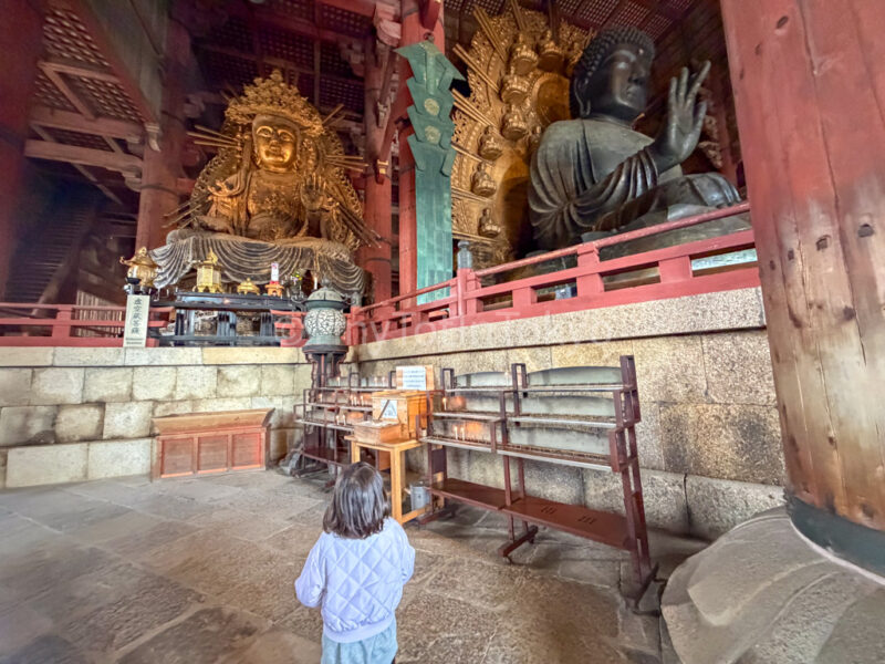 a child looking at the giant buddha statue at todaiji in Nara