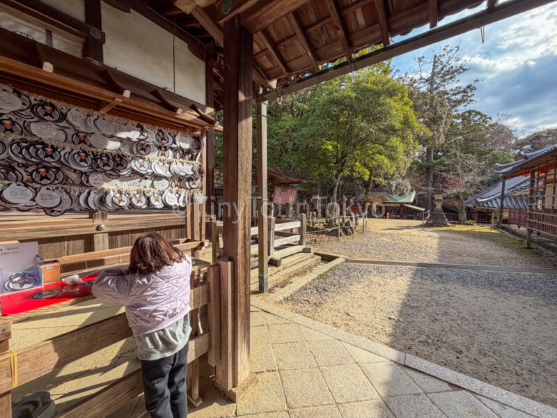a child at Tamukeyama Hachimangu in Nara