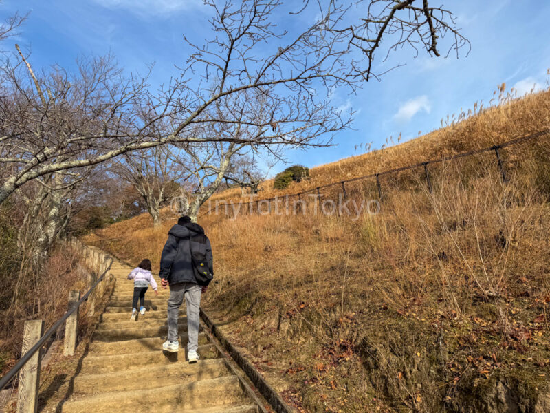 a child hiking up mount wakakusa in Nara