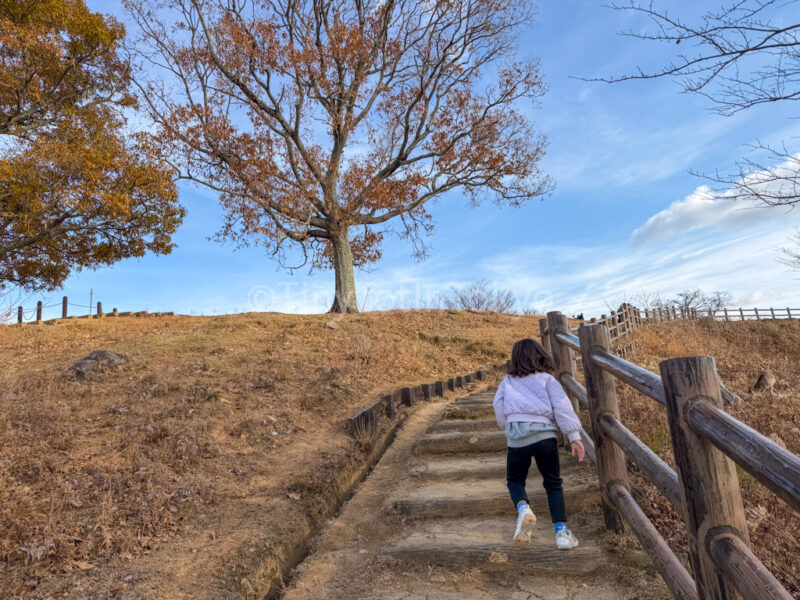 a child hiking mount wakakusa
