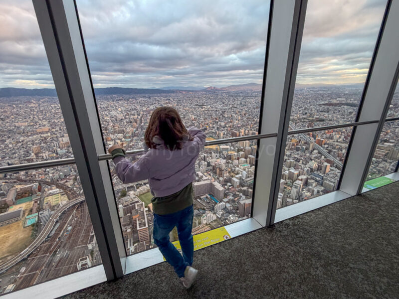 a child looking out Abeno Harukas 300 Observatory