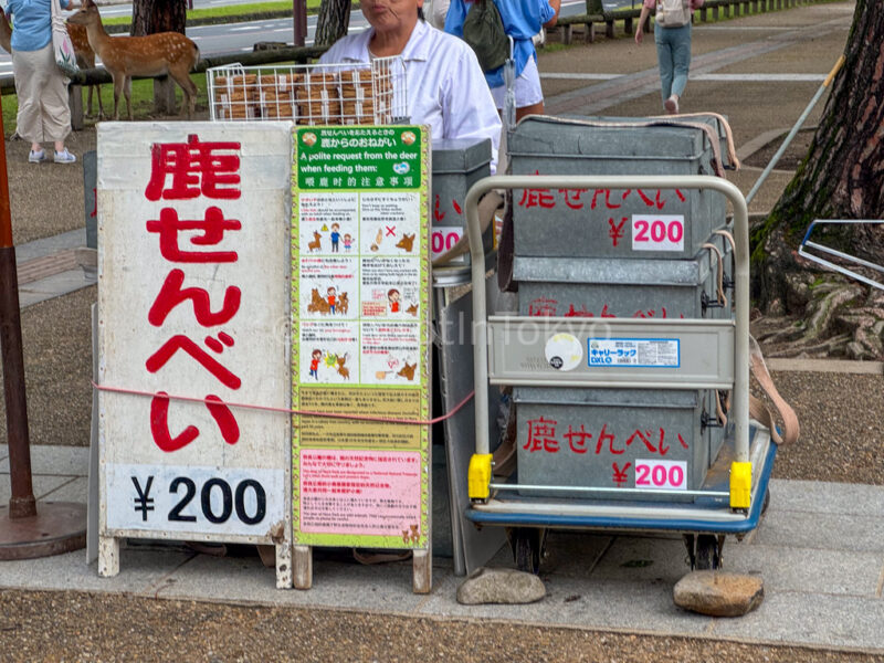 deer senbei crackers in Nara
