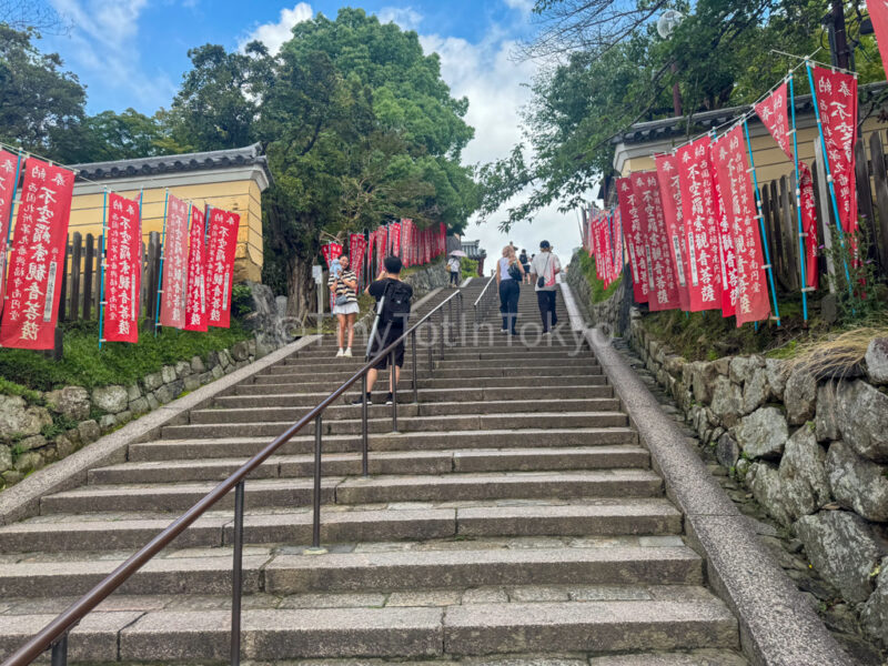 Stairs from Sarukawa Ike pond in nara to nanen-do