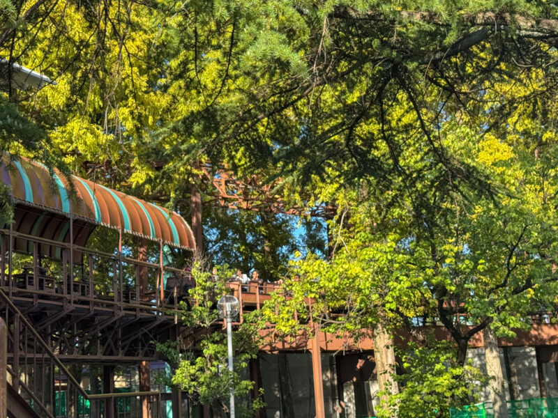 Jet coaster at Nagashima Spa Land