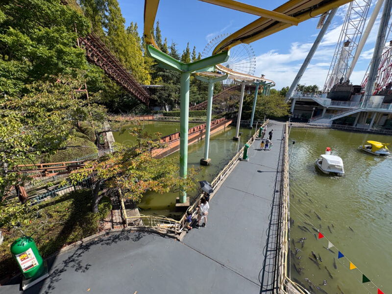 feeding koi fish at Nagashima Spa Land