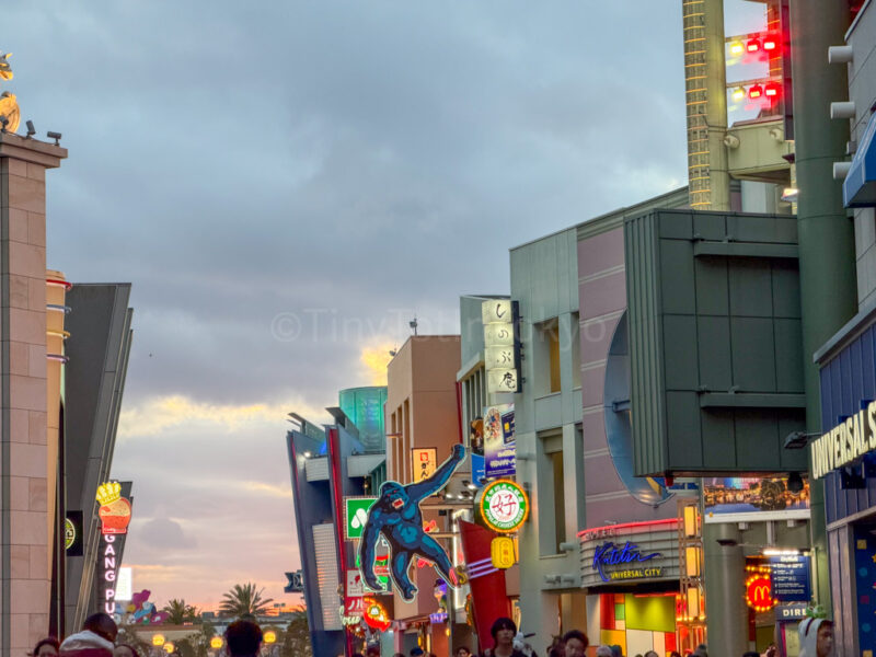 stores along the way to universal studios japan