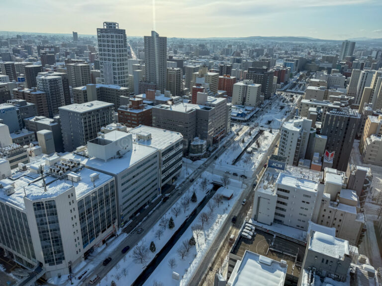 View of Sapporo Hotels in Winter