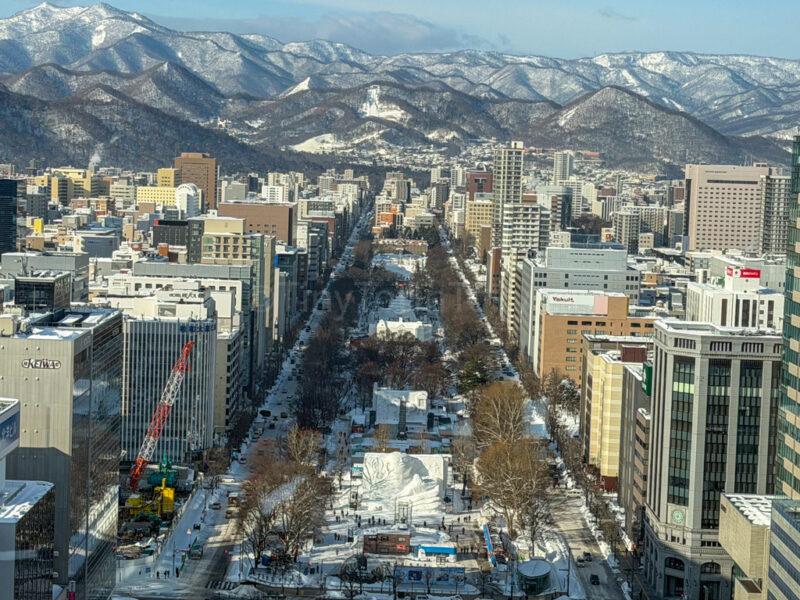 view of snow festival from sapporo tv tower