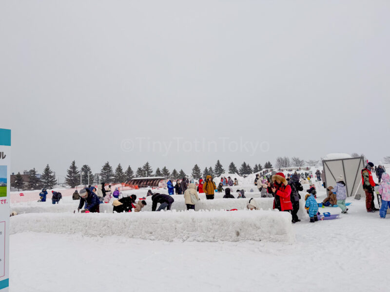 Tsudome site of sapporo snow festival