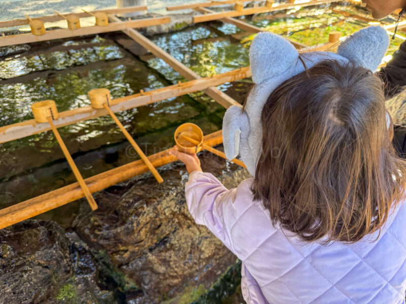 a child washing hands at ise jingu shrine in mie