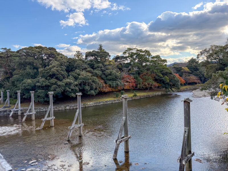 autumn foliage from bridge at naiku ise jingu