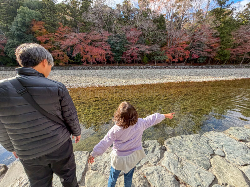 Isuzugawa River in Naiku Ise Jingu
