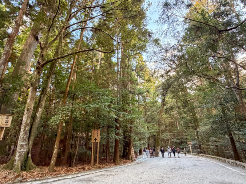 walk to Naiku at Ise Jingu