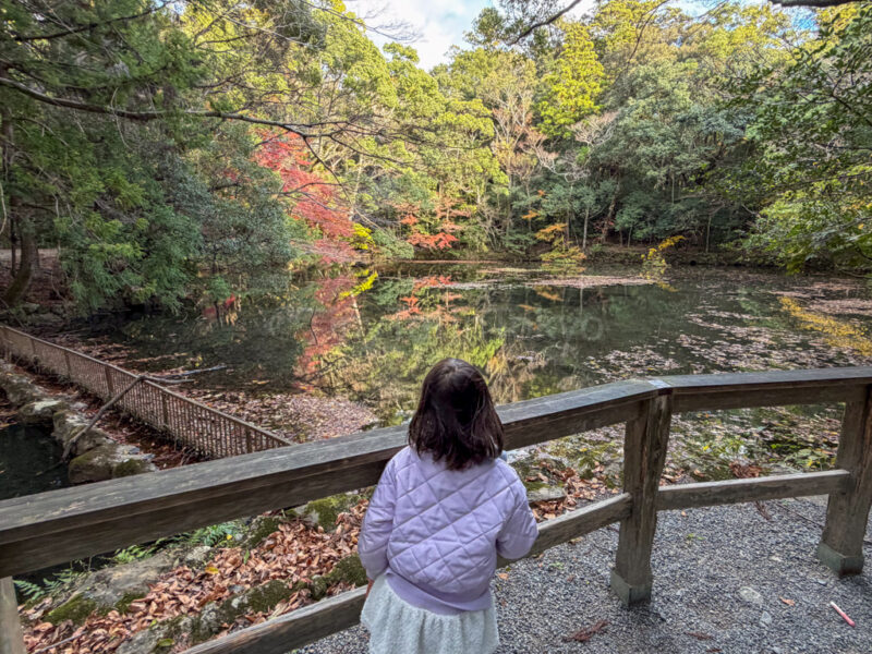 a child watching the autumn scenery at ise jingu