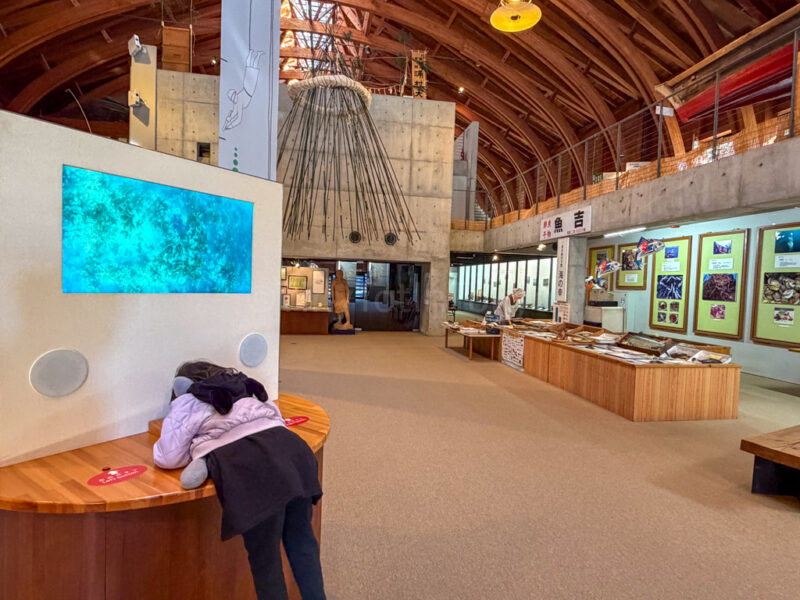 a child looking through a viewer at Toba Sea folk Museum
