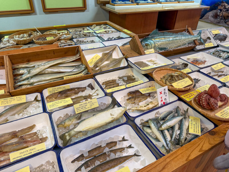 displays of fake fish at Toba Sea folk Museum