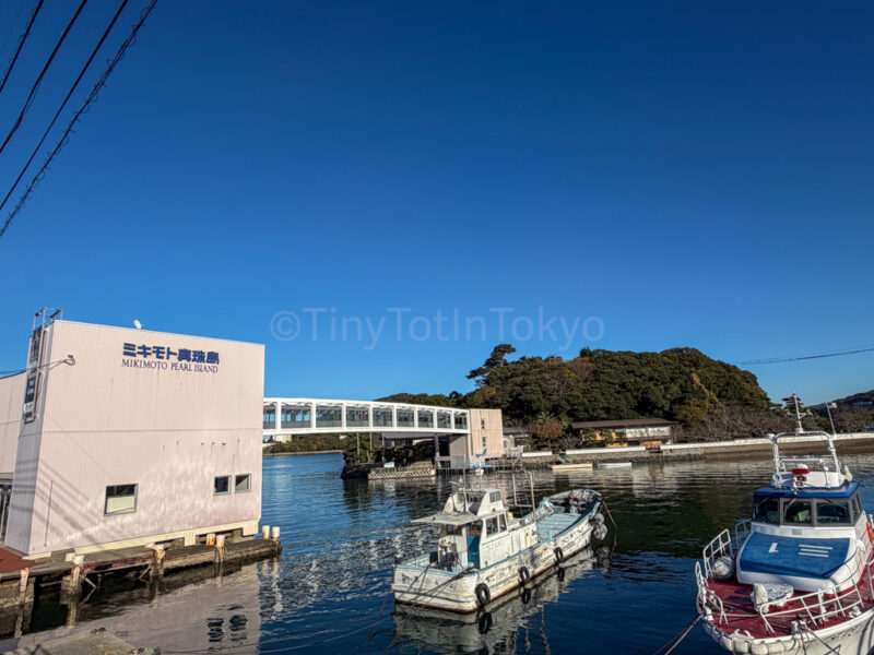 Mikimoto Pearl Island