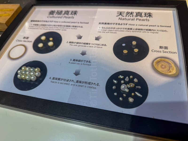 differences between pearls at Mikimoto Pearl Island