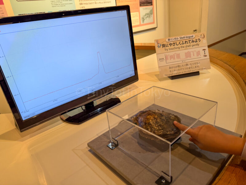 a child at an interactive exhibit at Mikimoto Pearl Island