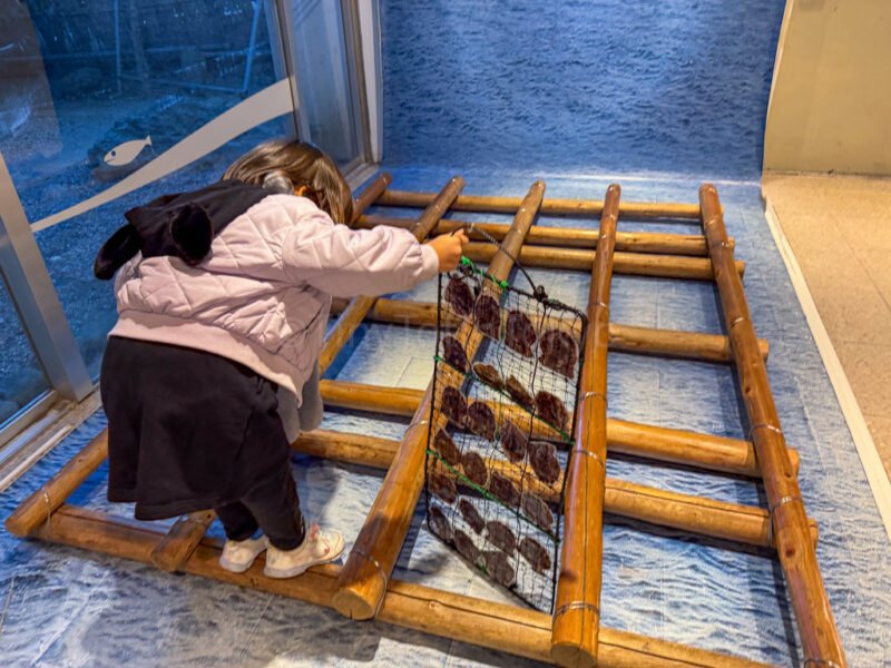 a child pretending to harvest pearls at Mikimoto Pearl Island