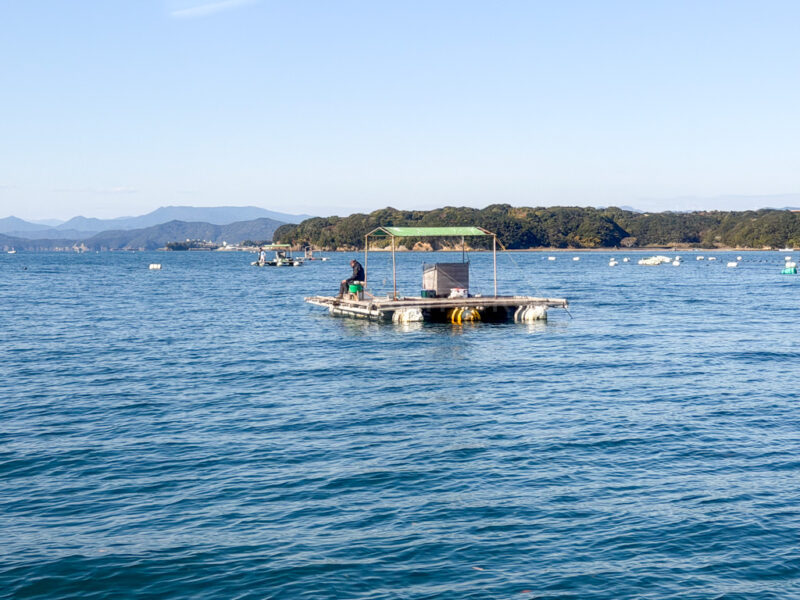 pearl farms in ago bay