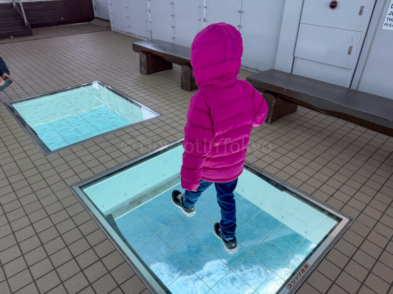 a child on the glass floor viewing panel at uzu no michi naruto whirlpool